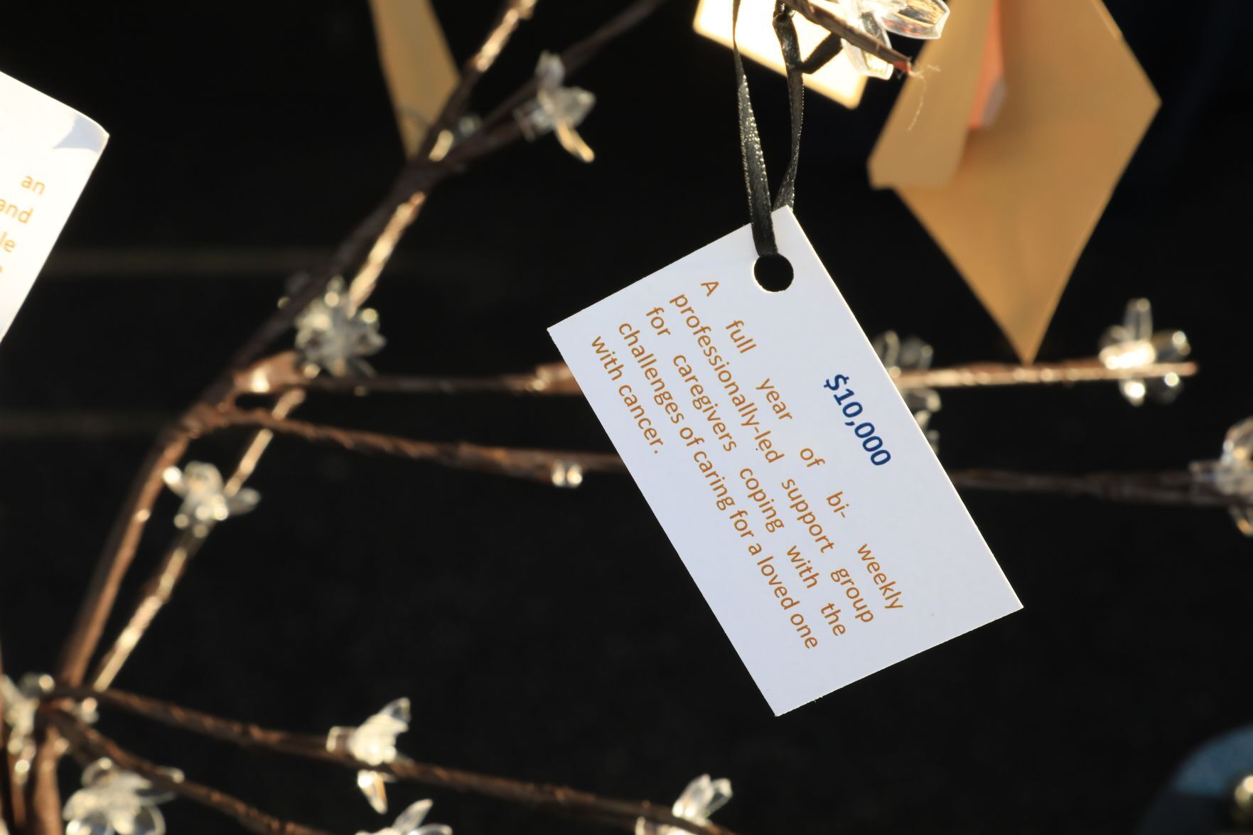 Cancer Support Community of Greater St. Louis’ Hope After Dark Gala